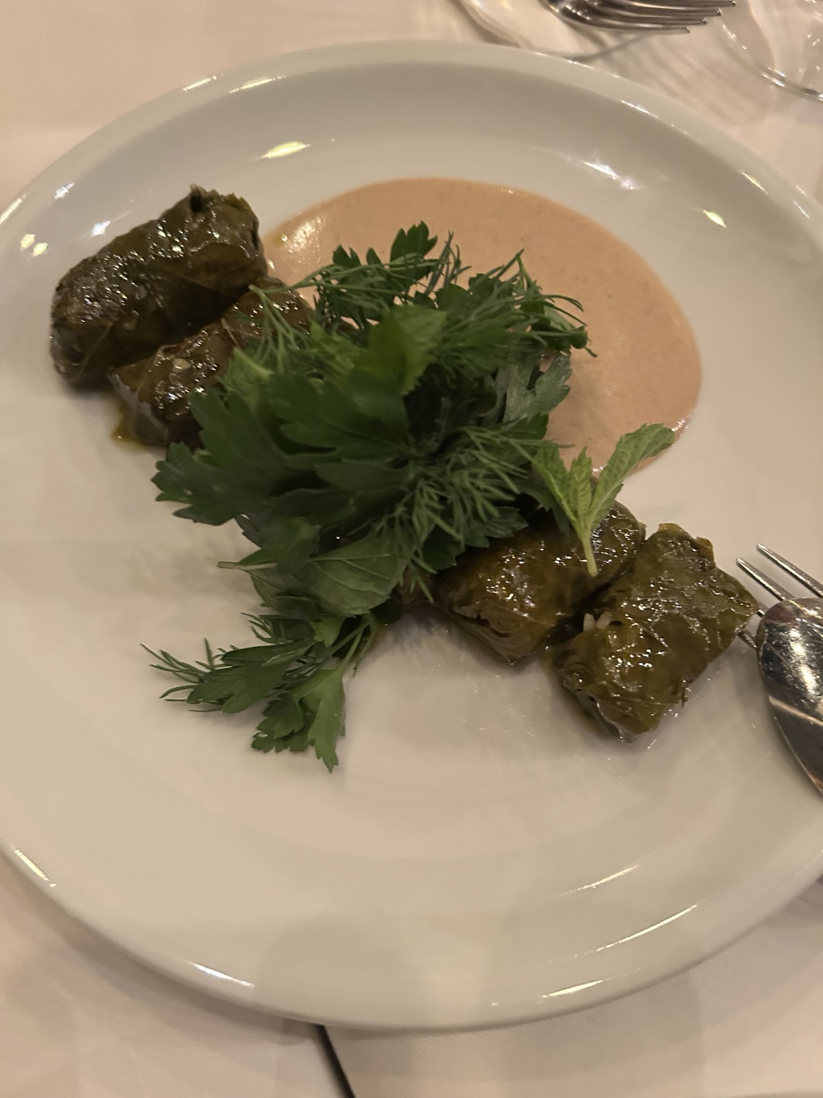 0 02 05 f56bf47bc58d0a47f69d072e901df33ecc6148bc97c311e88b6c5656324fee6a 1c6dc60009d603